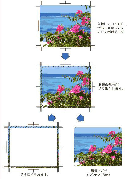 ピタックリン入稿画像規定