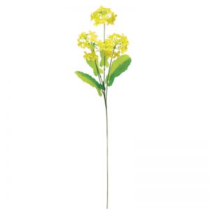 【春装飾】菜の花×4輪(36本セット)イメージ