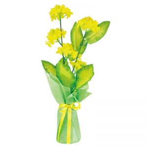 【春装飾】ハイポット菜の花(12個セット)イメージ