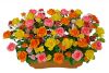 【フラワー装飾】造花プランター　オープンローズ ビューティー(Ｓ～LL)イメージ2