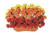 【フラワー装飾】造花プランター　ローズ３色ラインイエローオレンジレッド(S～LL)イメージ1