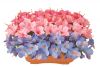 【フラワー装飾】造花プランター　ハイビスカス３色ライン(Ｓ～LL)イメージ2