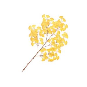 【秋装飾】大枝いちょう（12本セット）イメージ