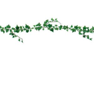 【夏装飾】ミニリーフガーランド　グレープリーフ（12本セット）イメージ